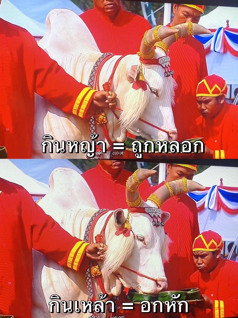 ลูกอีหน่อแตด tweet media