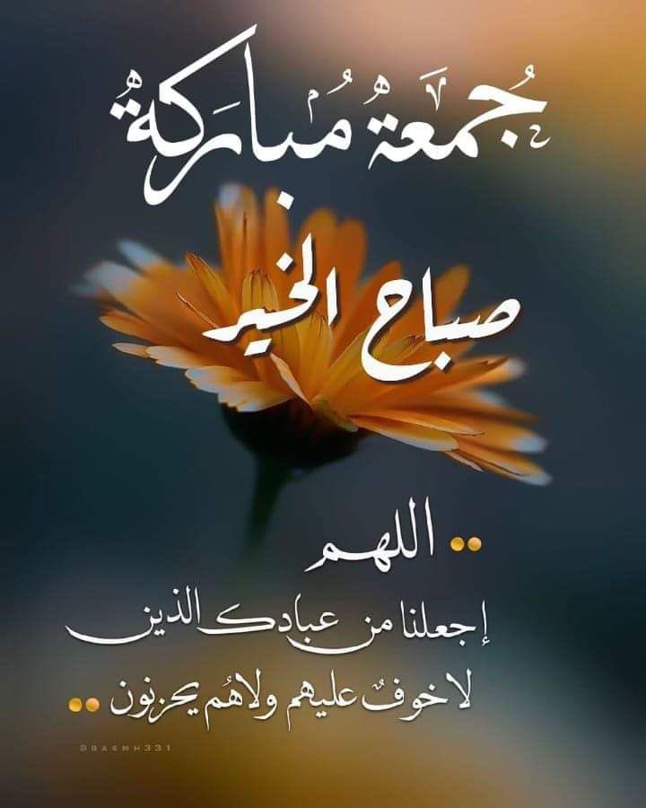 mohdkalshamsi's tweet photo. https://t.co/v0Gs0GJ1Iv