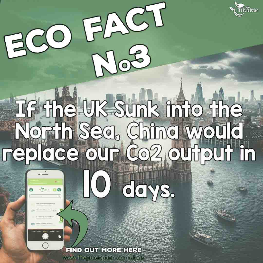 Eco Fact No3 If the UK disappeared the carbon saved would be replaced by China within 10 days. thepureoption.com/blogs/eco-fact… #letsmakeadifference❤️ #nogreenwashing #letstalkeco #honestdebate #ecofactsweekly #greenpolitics🍃 #ecofacts #greenpolitics🍃 #ecofacts #compostablepackaging