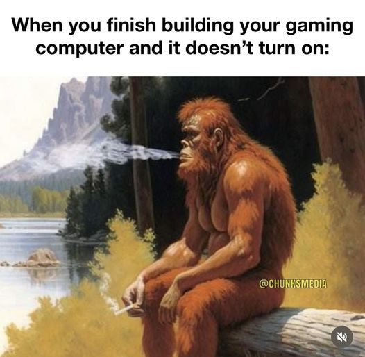 OrwellNGoode's tweet image. 