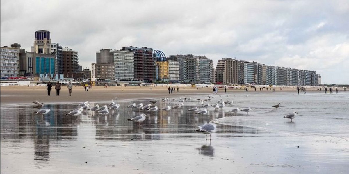 FrodoJacquet's tweet image. La playa