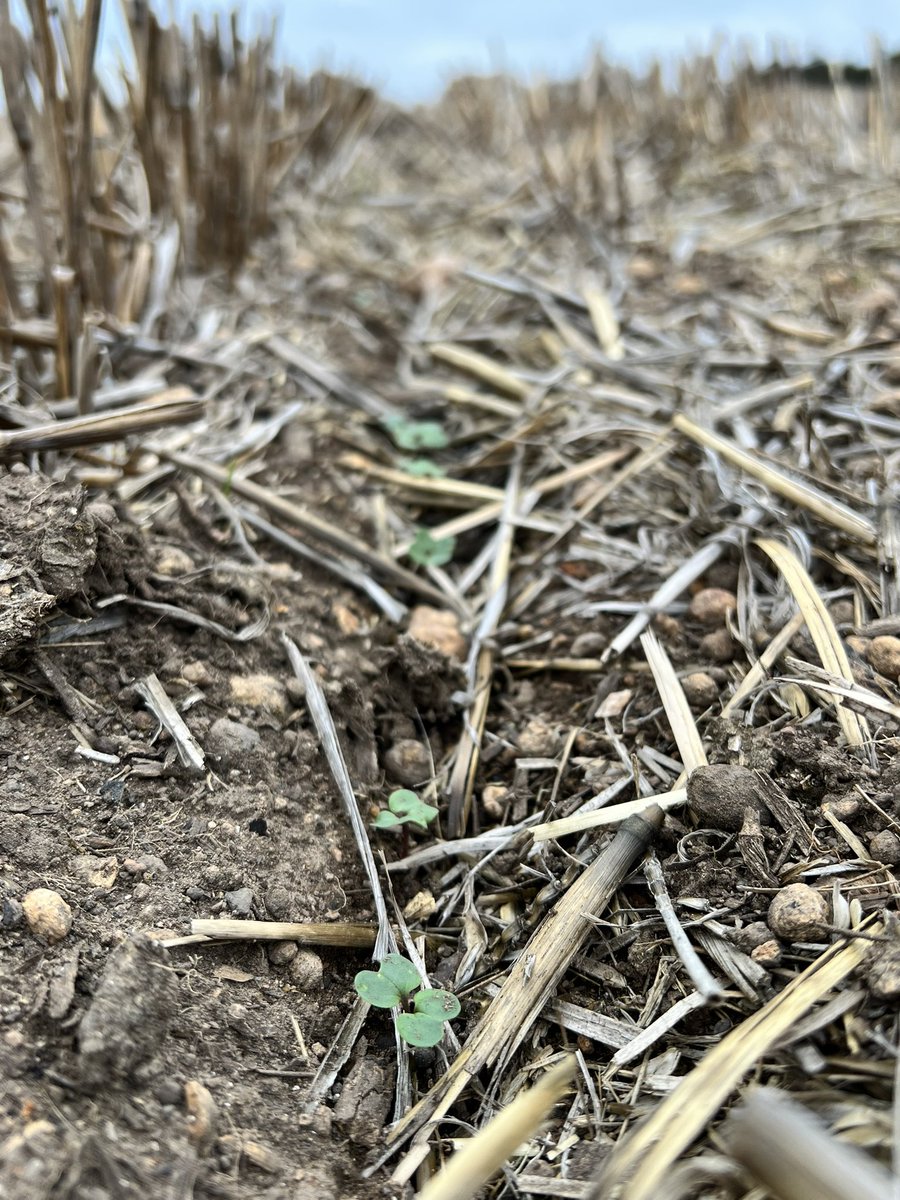 Rich Packard tweet media