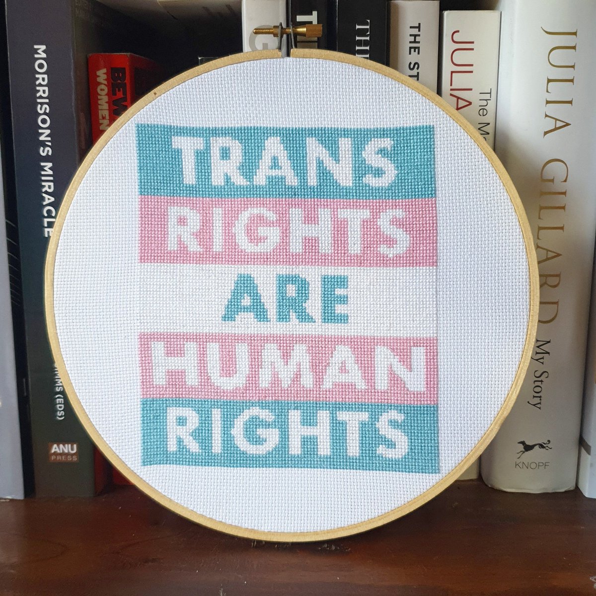 I'm beyond thrilled to share that my cross stitch piece, titled 'Trans Rights are Human Rights', will be featured in @agsa_adelaide's Radical Textiles exhibition!

Such an incredible showcase!

Also, does this officially make me an artist? 😅

#Craftivism #CrossStitch