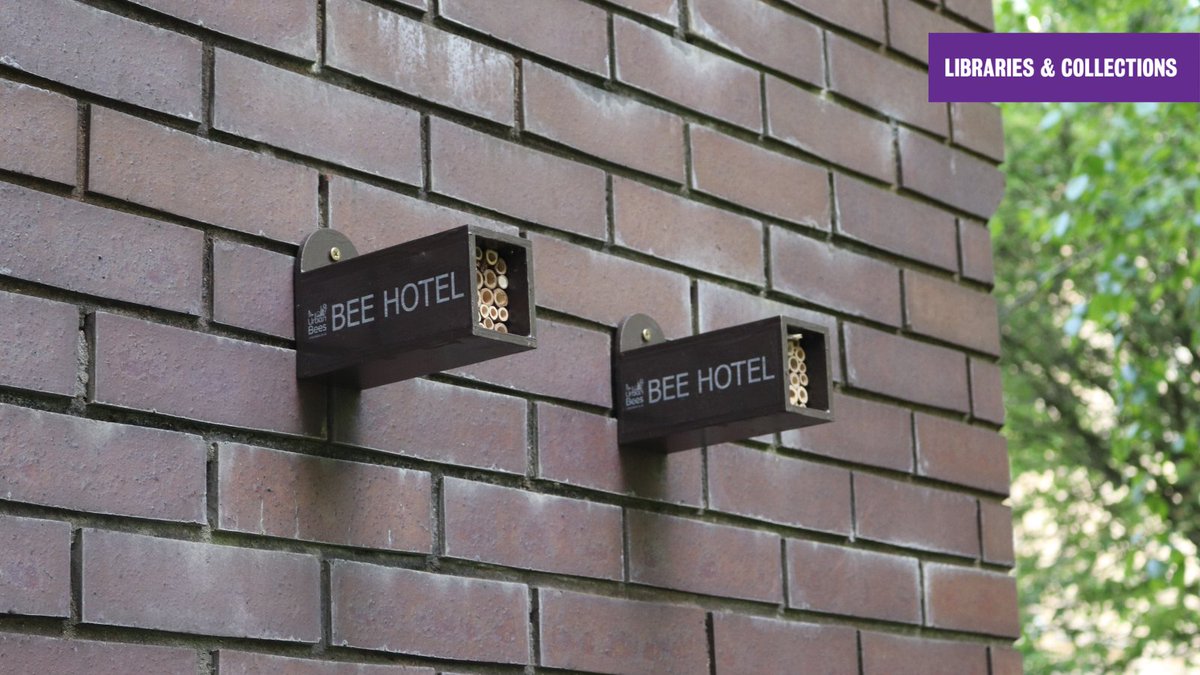 *Introducing*: our new bee hotels from @BeesintheCity 🐝 Giving pollinators a respite at the back of the Maughan bike sheds😌 We are keenly aware of our responsibility to the environment and a warming planet 🌍 And so are always looking for new ways to do good where we can 🤗