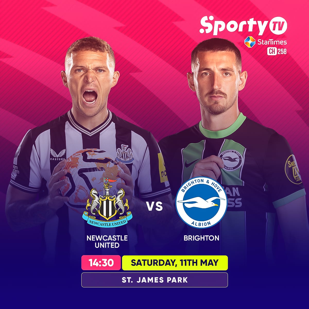Newcastle faces Brighton today, May 11 at James Park. Don't miss the EPL action showing at 2:30pm, on Sporty TV CH. 258 #football #epl #newcastle #brighton