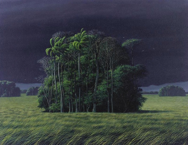 Tomás Sánchez. 'Light of a stormy afternoon,' 1990.