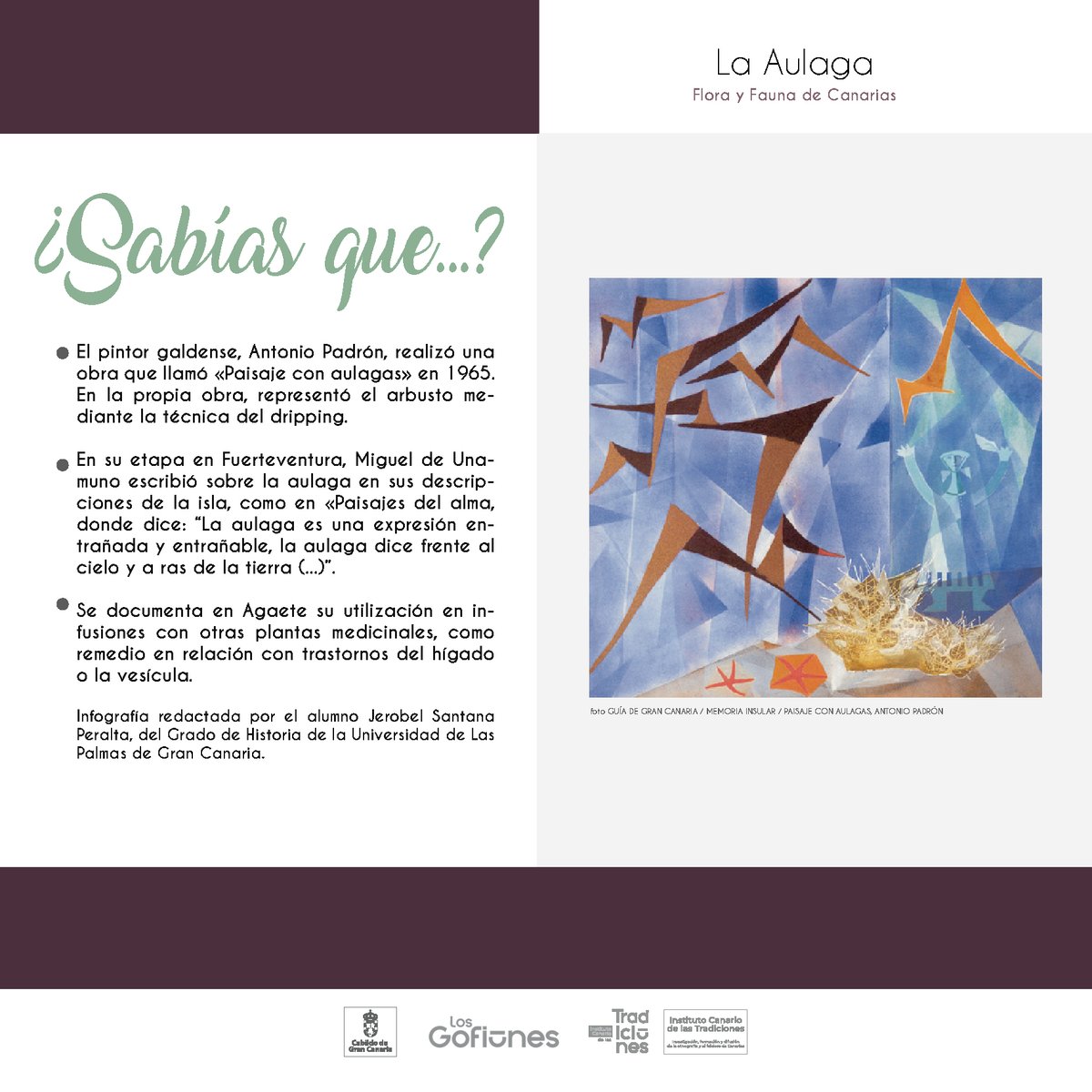 Hoy les queremos mostrar una planta que suele pasar desapercibida, pero que juega un papel importantísimo en nuestro ecosistema, la aulaga o julaga.
#ictradiciones #floradecanarias #aulaga #ecosistema #julaga #islascanarias #zonassemidesérticas @LosGofiones  @GranCanariaCab