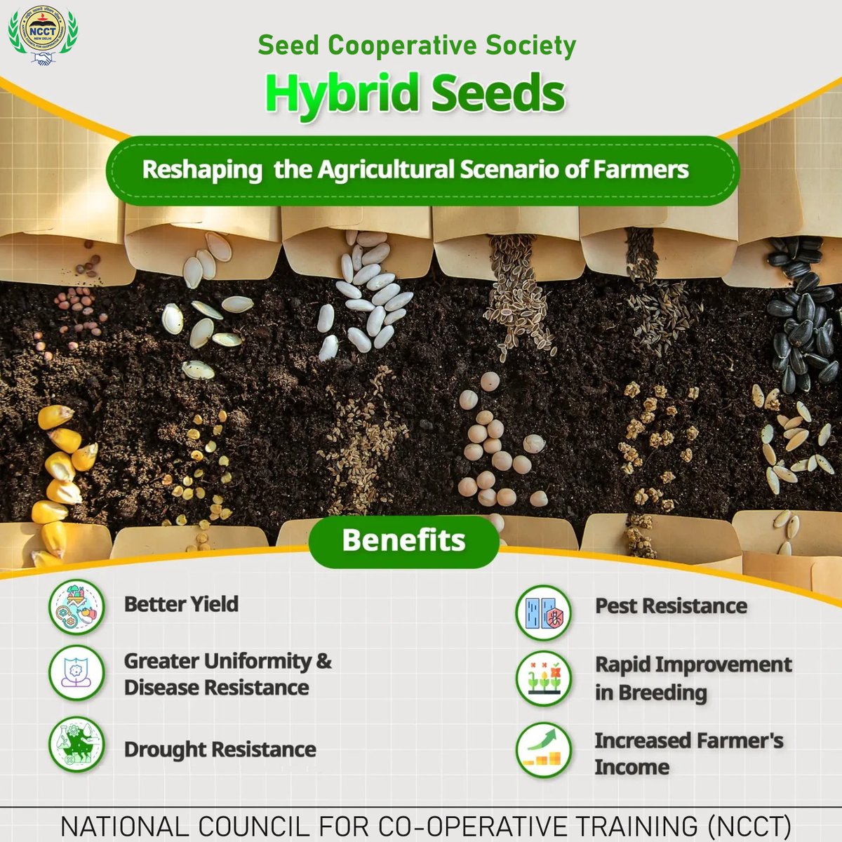 Seed Cooperative Society,
Hybrid Seeds offer improved yields, natural resilience, consistency, and performance benefits increasing overall crop productivity and enhancing farmers' income. 
#seed #farming #NCCT #सहकारसेसमृद्धि #society #SahakarSeSamriddhi #cooperativeSociety