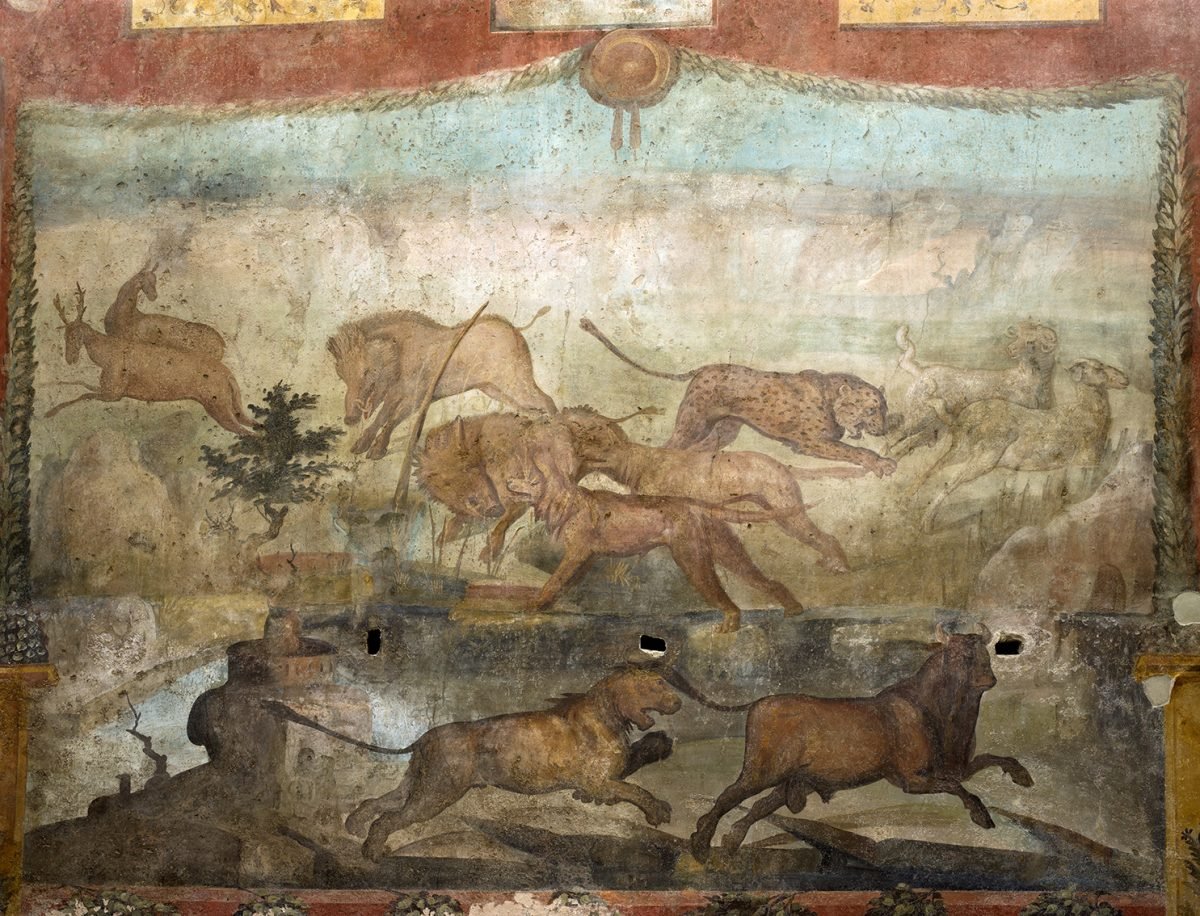 #FrescoFriday - The fantastic fresco of hunting animals from the small garden of the Casa dei Ceii, Pompeii (I.6.15). Conserved and restored earlier in the decade, the fresco once again revels in its vibrancy. #Pompeii #Art

Image: @pompeii_sites Link - pompeiisites.org/en/comunicati/…