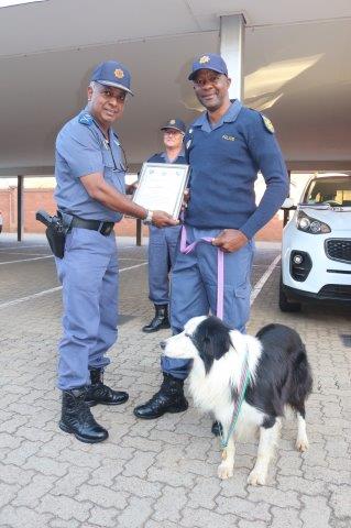 #sapsNW A passionate #K9Handler, Sergeant Gaogakwe Mabaso, was handed a Commendation Certificate while his Fire Detection #K9, Erin, received a Medal for dedication, commitment and appreciation for canine services. The handing over took place during a weekly Operation Shanela…