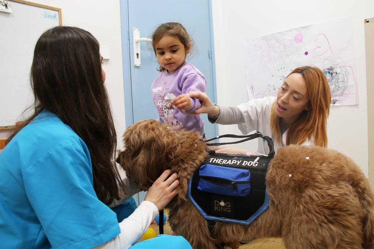 parctauli's tweet photo. 📅Avui és el #DiaMundialInfantHospitalitzat🧒

💙Des del #ParcTaulí treballem per humanitzar els espais i l'experiència general dels infants del nostre centre 

 Músics🎶, voluntaris🤝, teràpia amb gossos🐶, decoració dels espais🔝, els @pallapupas 🤡 i molt més https://t.co/oLY5xPJp9l