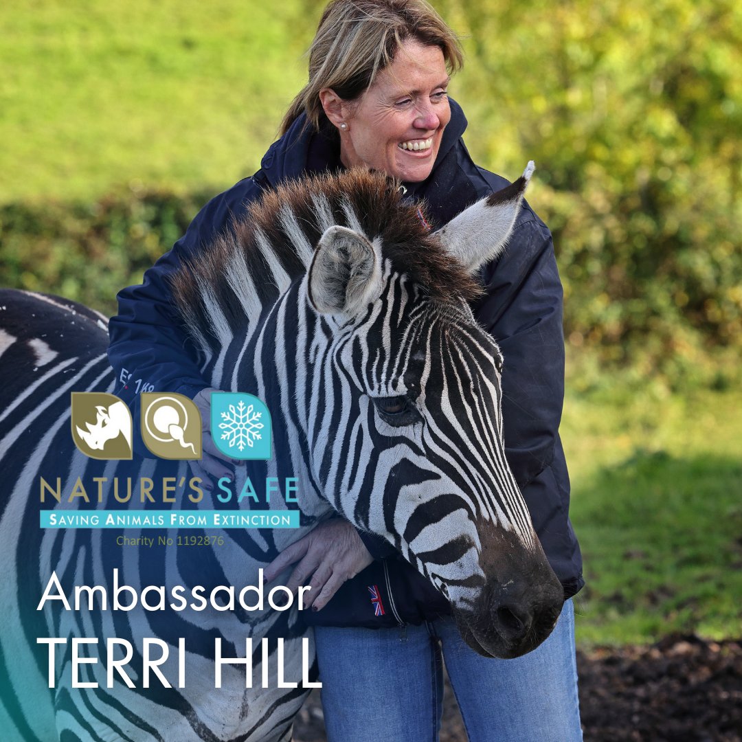 We’re delighted to share that Terri Hill, renowned for her career in the equestrian world and her dedication to animal welfare, is now a Nature’s SAFE ambassador. Read more here: natures-safe.com/post/terri-hil…