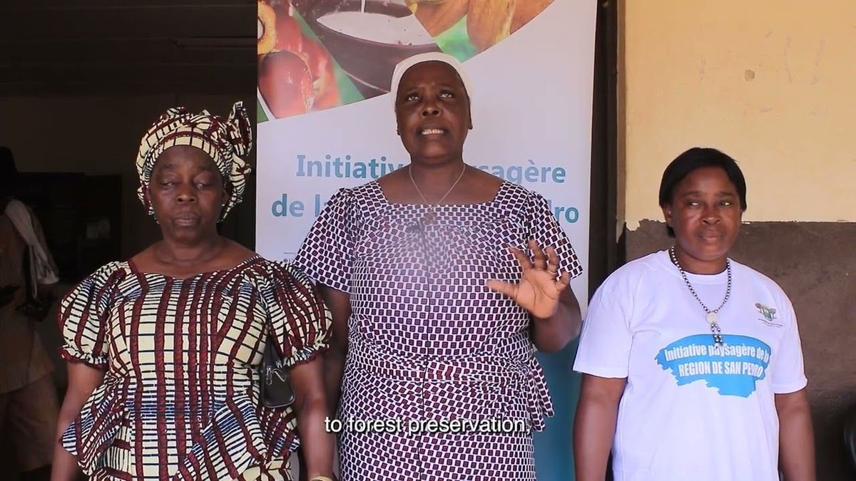 This new film provides an overview of the #IKI funded landscape programme and the stakeholders involved in developing the Management and Investment Plan for the San Pedro landscape in Côte d’Ivoire @Proforest #deforestationfree #supplychains Watch now ➡ international-climate-initiative.com/VIDEO1098-1