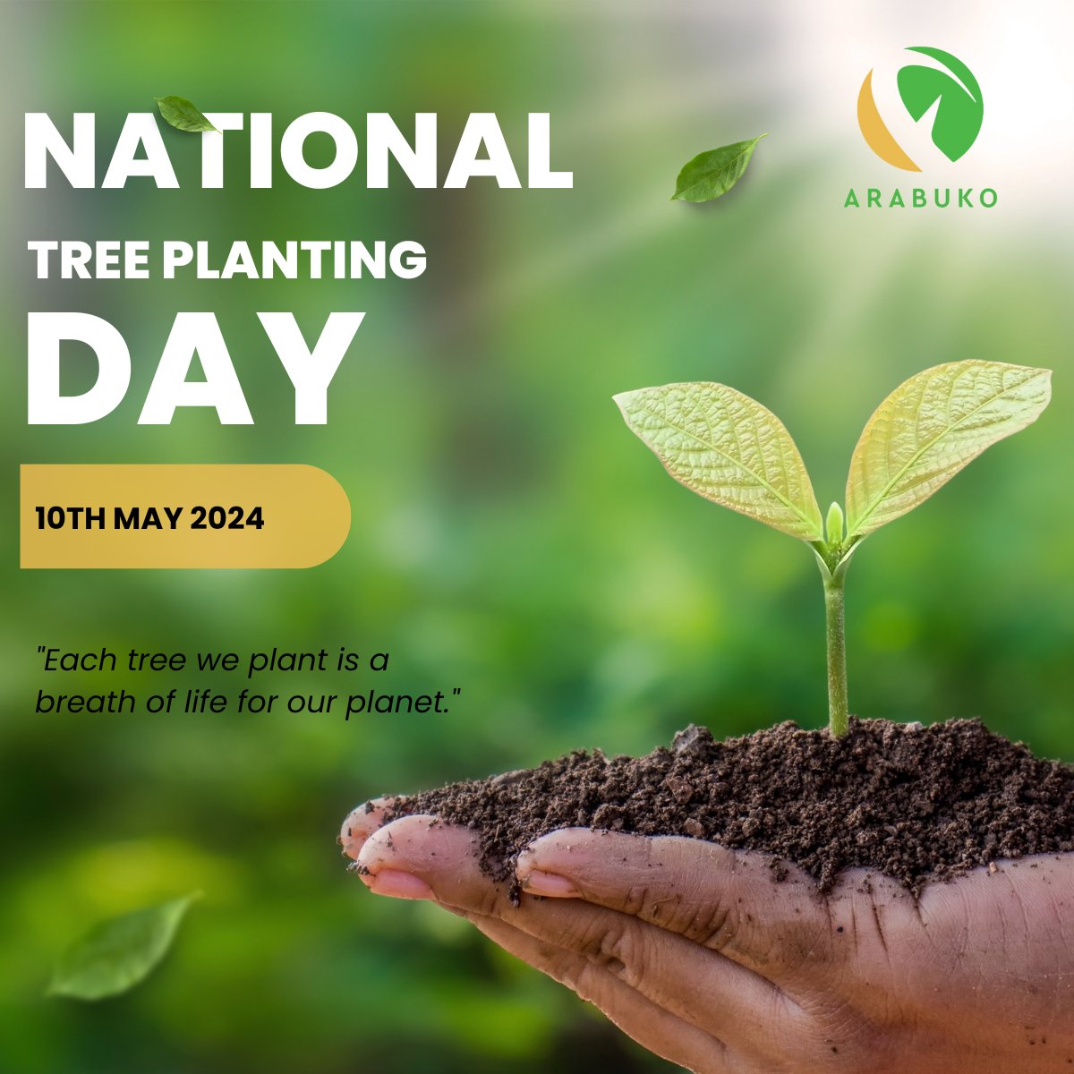 Climate change continues to be a big challenge, especially lately with the ongoing floods. As we plant trees today, let's do it for all the lives impacted by the floods and for our future generations.  Happy National Tree Planting Day!🌳#letssavetheearth #youthinagriculture