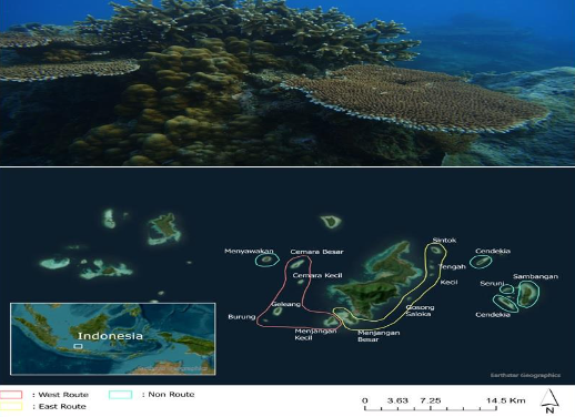 Possible effects of shipping routes on coral reef degradation and diversity in Karimunjawa Marine National Park, Java Sea. 🔗 doi.org/10.3897/arphap…