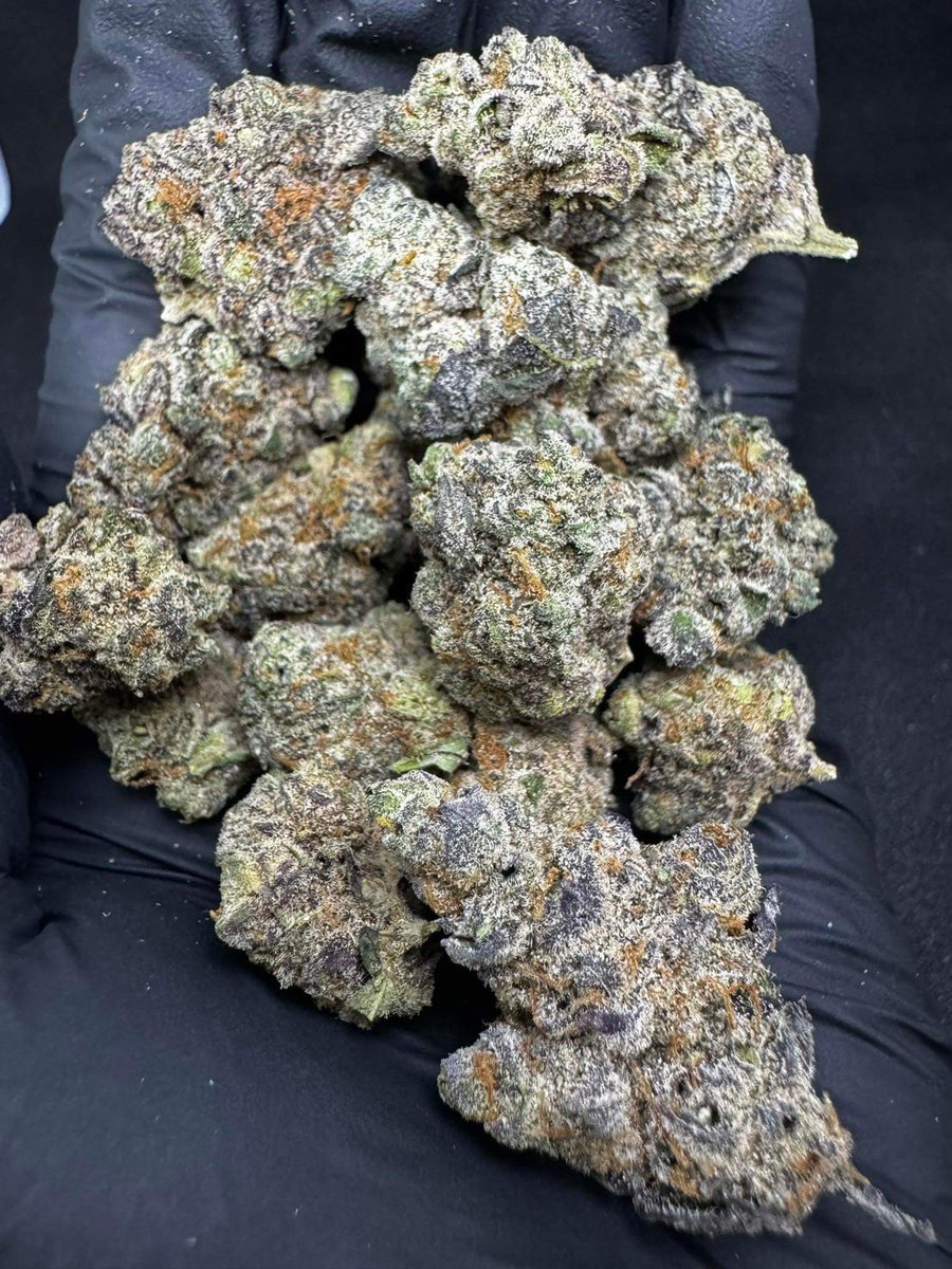 SweedChilli's tweet photo. INDOOR AIR ❄️ 
(Size :  Mid30/Pop70)

- Platinum🥇

100G / 7,500.-

1K.G / 40,000.- ✅✅

https://t.co/lPRmTmLQWO

Age 20+ 🚫

#กัญชา #กัญชาออแกนิค #กัญชานอก #กัญชากรุงเทพ #กัญชารังสิต #กัญชาราคาถูก #กัญชาเชียงใหม่ #Dabthai #Pod #กัญชาog https://t.co/NRgAkaS5lh