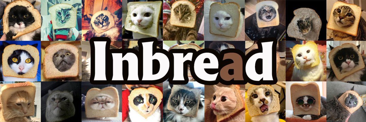 $INBRED I think the INBRED community is really lively and United.