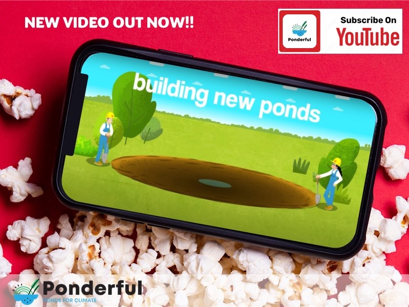 🌟🎥 Dive into the world of ponds with our latest #PONDERFUL video! Ready to make a splash for nature? Our new video shows you how building ponds can make a BIG difference for our planet! 🌍💧 Grab the popcorn and watch it now: shorturl.at/dgowx #naturebasedsolutions