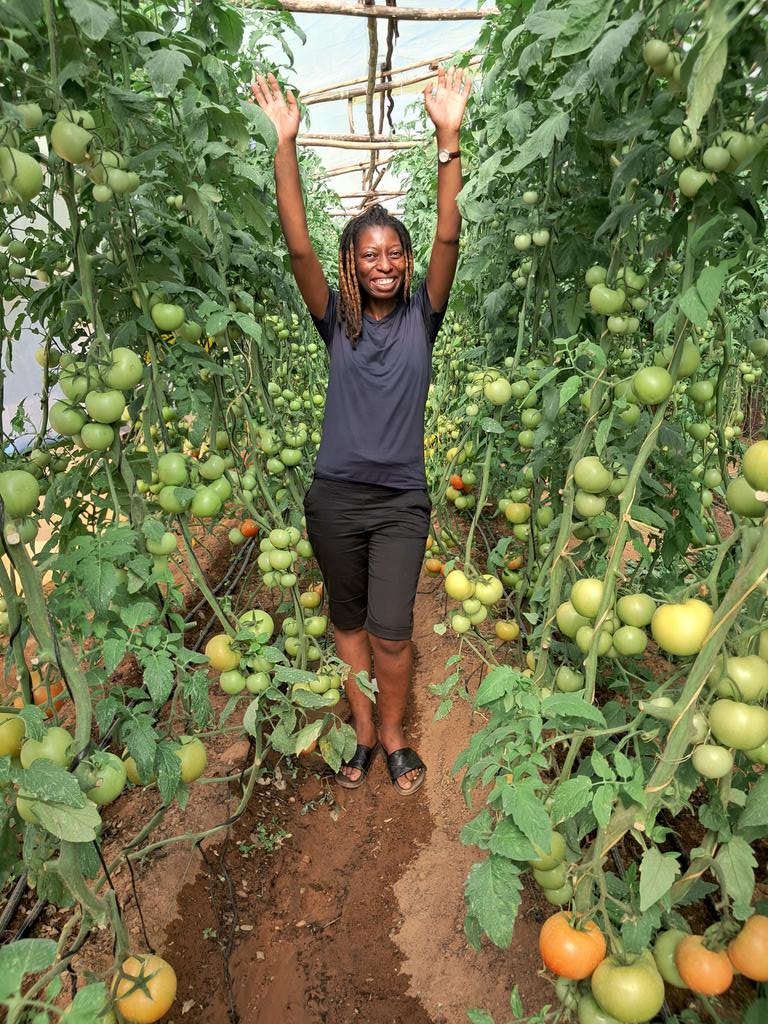 Cynthia Jera tweet media