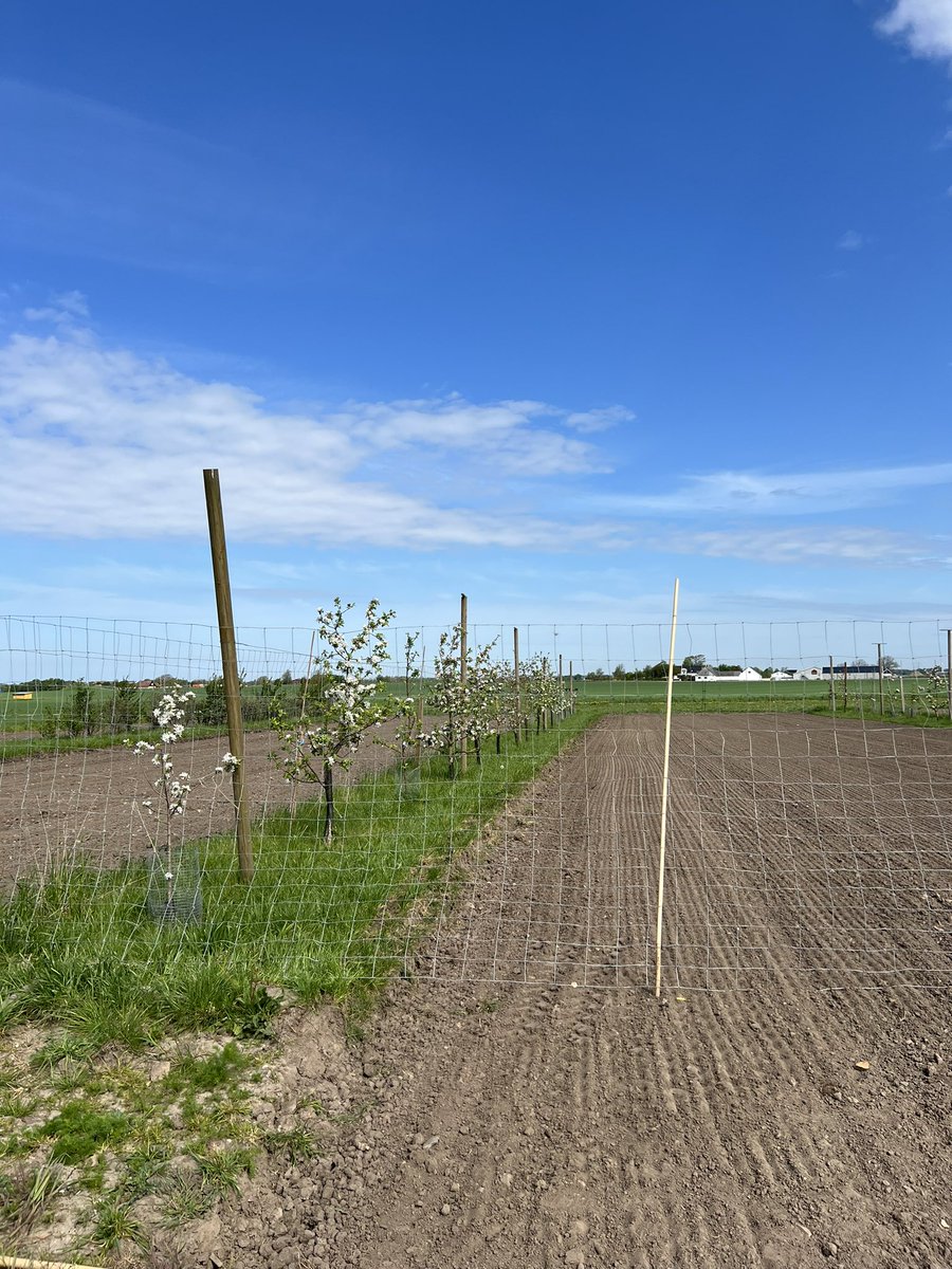 An incredible visit to the pilot site in Sweden for the @AI4SoilHealth project! 
#SoilHealth #MachineLearning #soil
#StockholmUni