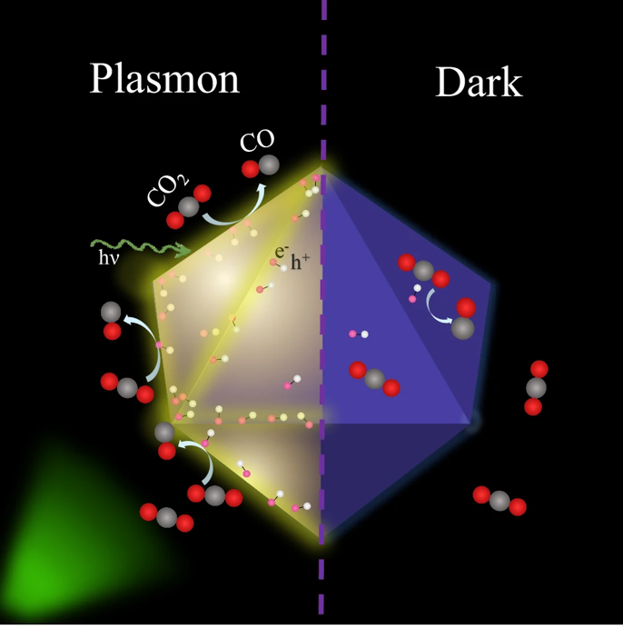 🥳Just out! We show in <a href="/NatureComms/">Nature Communications</a> the role of crystal facets in plasmonic catalysis ☀️⛽️We see a shift in the reactive sites from facets to corners when activating the plasmons in our nanocatalysts↔️🎯 Atomistic theory from <a href="/jlischner597/">Johannes Lischner</a> ⚛️💻
Check here rdcu.be/dHs1i