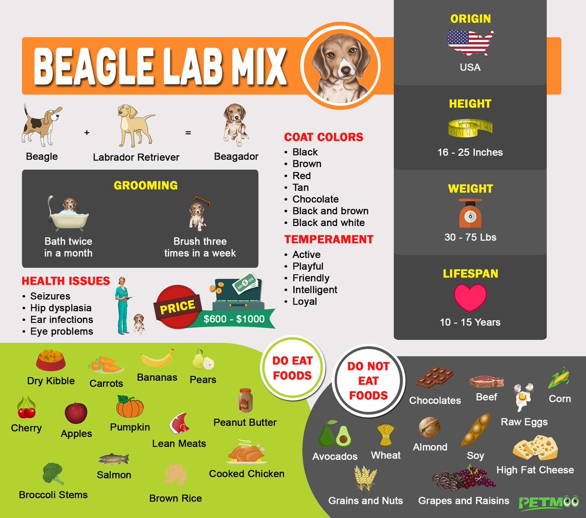 Beagle Lab Mix Infographics
#petmoo #pets #dogs #dogbreeds #doginfographic