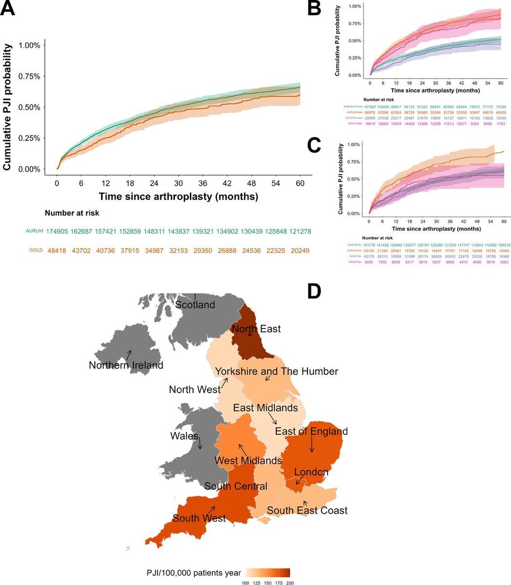 Risk equations for prosthetic joint infections (PJIs) in UK: a retrospective study using the Clinical Practice Research Datalink (CPRD) AURUM and GOLD databases. bit.ly/3WzNNGq