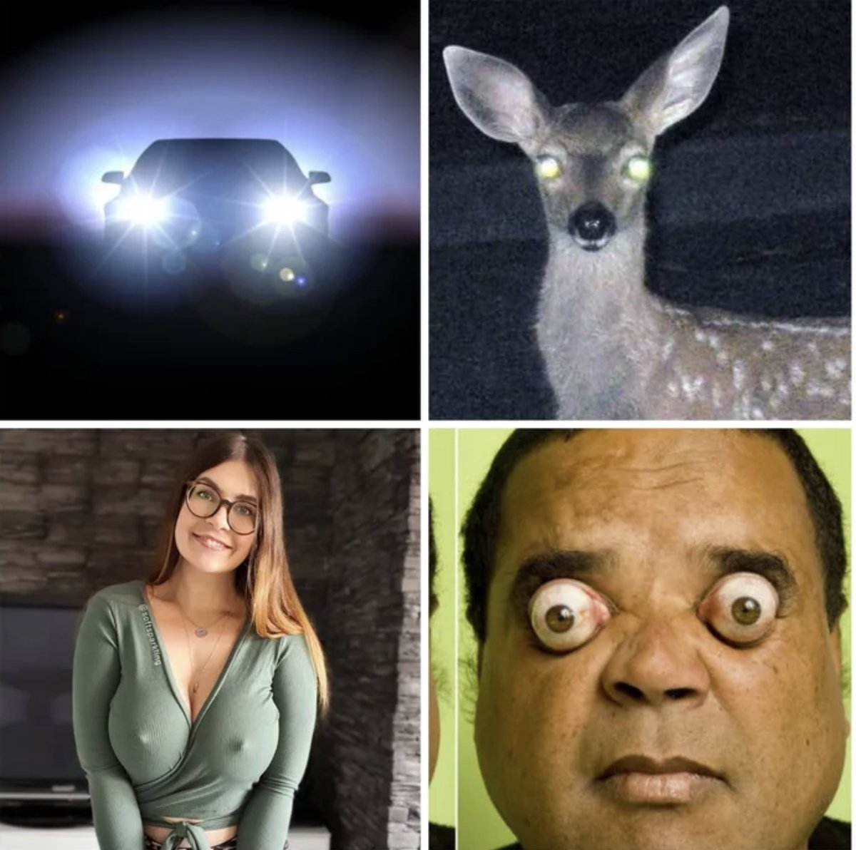 Which of these is waiting for the Vinyl Lounge Show in 1 hours time?