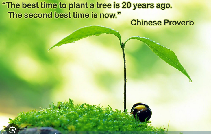 EmpowerwithIT's tweet photo. Our lasting legacy lies not in the towering stone structures, but in the forests we nurture, the oceans we safeguard, and the skies we keep pure.π±#TreePlanting #EcoFriendly #PandaMiti https://t.co/ivOqWCt480