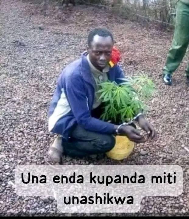 Out Of Context Kenyans (Satire) (@KenyansNoContxt) on Twitter photo 2024-05-10 09:05:45