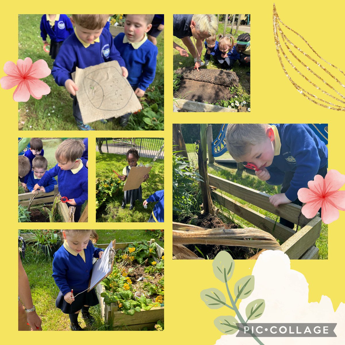MrsMWells17's tweet photo. We have been exploring our nursery grounds on a minibeast hunt. We have found lots of different minibeasts! @MiltonPrimary17 #minibeasthunt #minibeasts #littleexplorers https://t.co/F3qhme3pym