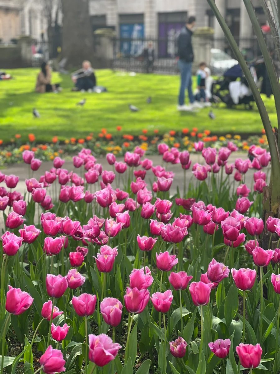 011Flopy's tweet image. "The earth laughs with flowers."