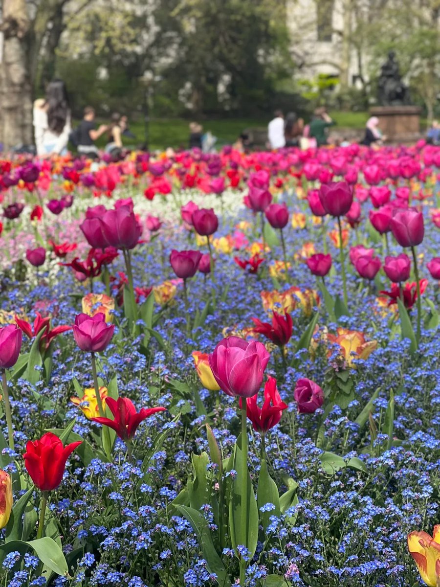 011Flopy's tweet image. "The earth laughs with flowers."