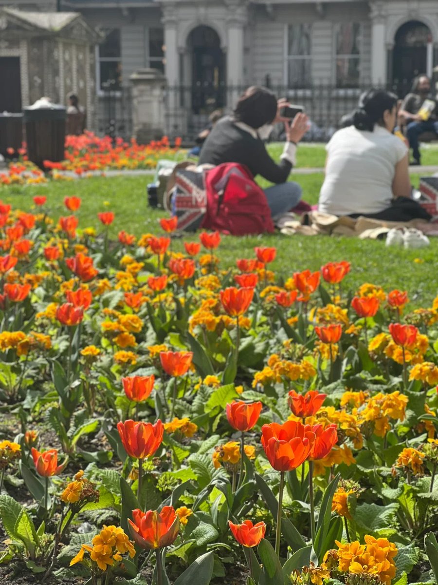 011Flopy's tweet image. "The earth laughs with flowers."