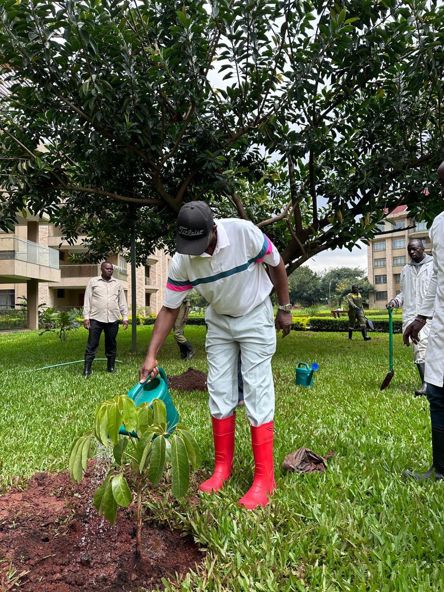 Governor Dr. Kamau Thugge plants a tree at the Kenya School of Monetary Studies. This joins part of the impressive plantation at KSMS, and is part of the Government’s efforts to plant at least 15 billion trees by 2032.