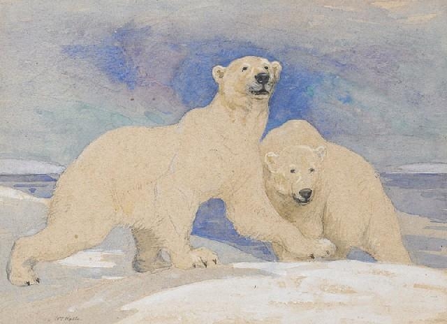 Wait, what's that? An animal history conference, with papers on egrets, urban pigs, tasmanian devils AND polar bears? And only £5 to register? 
I'm excited... 🐻‍❄️🐻‍❄️🐻‍❄️#animalhistory @AnimalHistories 
Summer Conference 2024 animalhistorygroup.org/events/summer-…