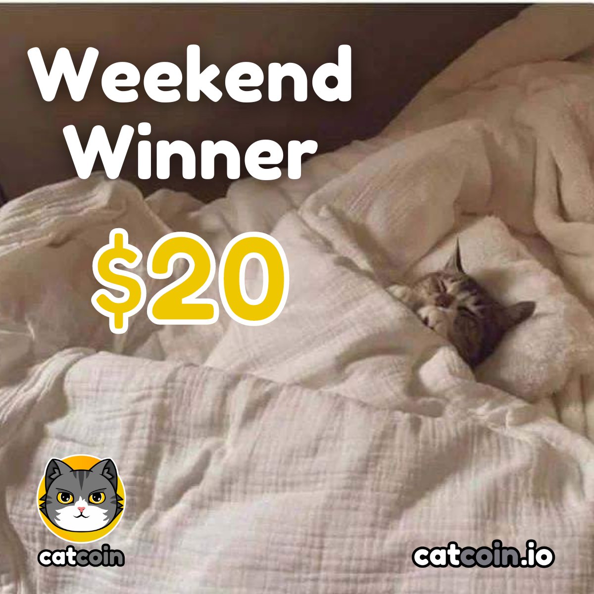Weekend Winner - $20

• Follow @officialcatcoin
• Retweet 
• And comment #Catcoin #USDT #giveaway 

48 hours