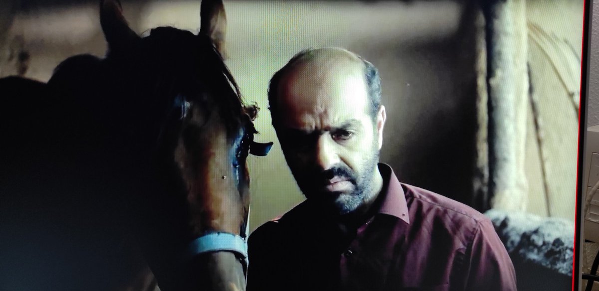 Visualízame Festival tweet media