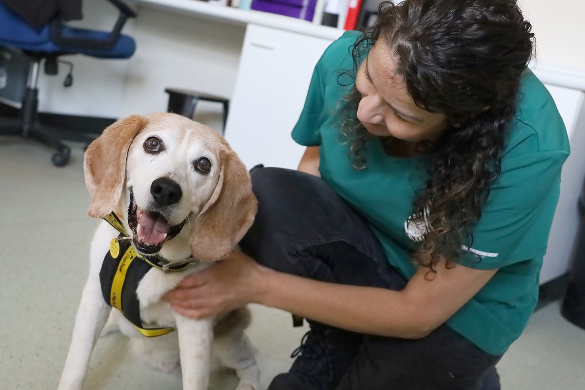 May is #VeterinaryNurseAwarenessMonth and we’re celebrating our Vet Nurses and Vet Nurse Assistants at our rehoming centres who do so much to help the dogs in our care live their best lives while waiting for their forever homes 💛🐶
