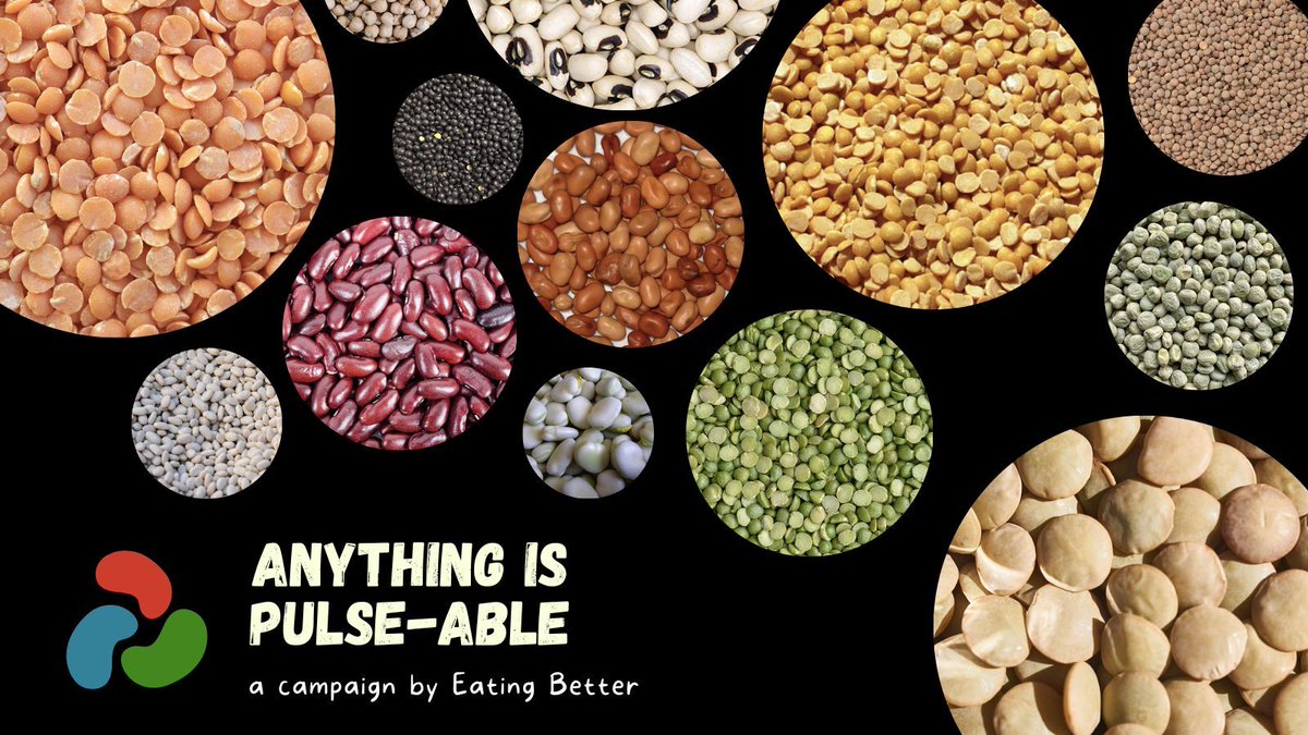 It’s no secret that here at Feedback, we are buzzing about beans! ‘Anything is Pulse-able’ is a month-long campaign highlighting the benefits of beans, peas and lentils for our health, our pockets and our planet. Read more: bit.ly/anythingispuls… @Eating_Better #EatingBetter