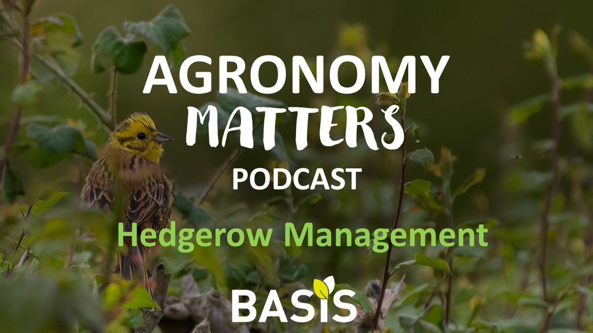 Check our #HedgerowManagement #podcast episode on #NationalHedgerowWeek!🎙️ Hear from Megan Gimber, Key Habitats Officer at the People's Trust for Endangered Species, as she discusses sustainable hedgerow management and biodiversity Tune in 🎧 bit.ly/3QgYU2K
