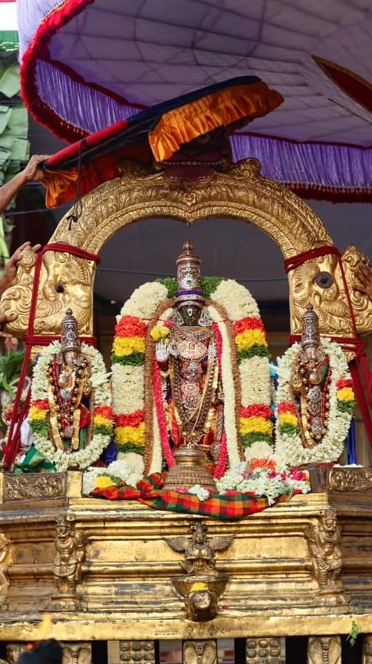 Sri Parthasarathy Perumal in Dharmathi Peedam Chithirai Brahmotsavam