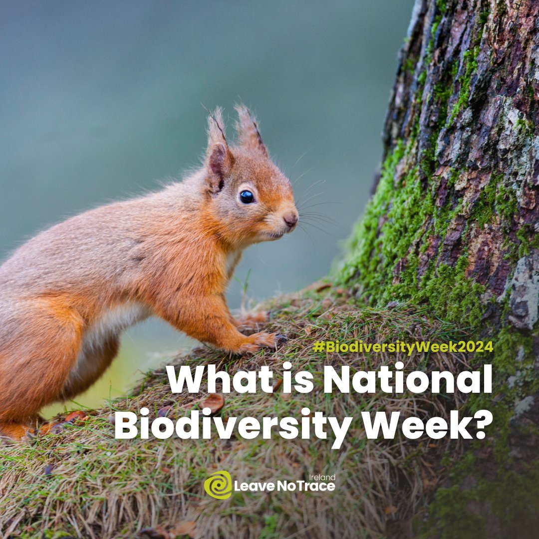 🌿 Biodiversity Week is just around the corner, running from May 17th to 26th! Explore the rich variety of life in Ireland this May with a host of wonderful events and activities for the whole family. 🔍 Read more here: leavenotraceireland.org/may-events-202…