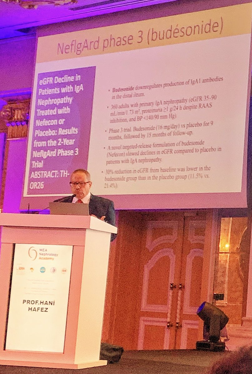 Dr @drhanyhafez3 , our #AfricanAFRAN president talking In Istanbul about recents updates mentioned in International forums: Of interest: PD planned based on aquaporins genotype for a better planned successful PD-The future ? #ISPD1 @AfricanAFRAN @EdwinaBrown_PD @MiguelAEGEE