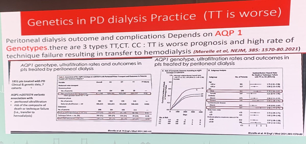 Rasha_Darwish_'s tweet photo. Dr @drhanyhafez3 , our #AfricanAFRAN president talking In Istanbul about recents updates mentioned in International forums: Of interest: PD planned based on aquaporins genotype for a better planned successful PD-The future ? #ISPD1 @AfricanAFRAN @EdwinaBrown_PD @MiguelAEGEE https://t.co/PqUZD9xRKr