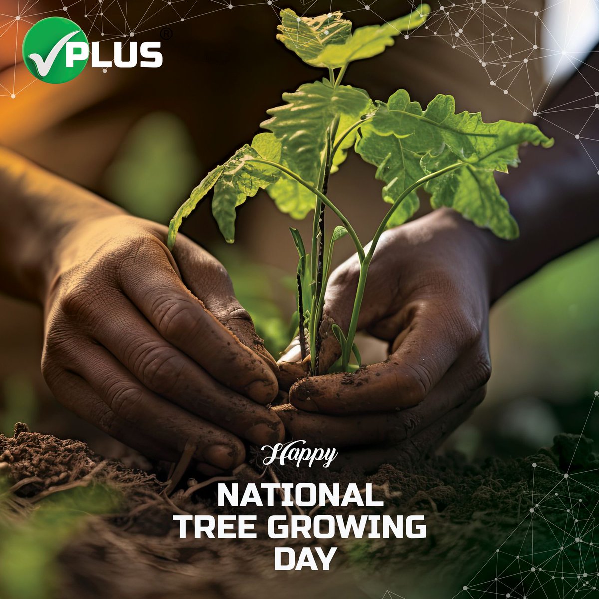 Let's celebrate our planet by getting our hands dirty and planting trees today! 🌱  Every tree planted is a step towards a greener, healthier future for generations to come.#TreePlantingDay #GreenEarth #SustainableLiving 🌍.