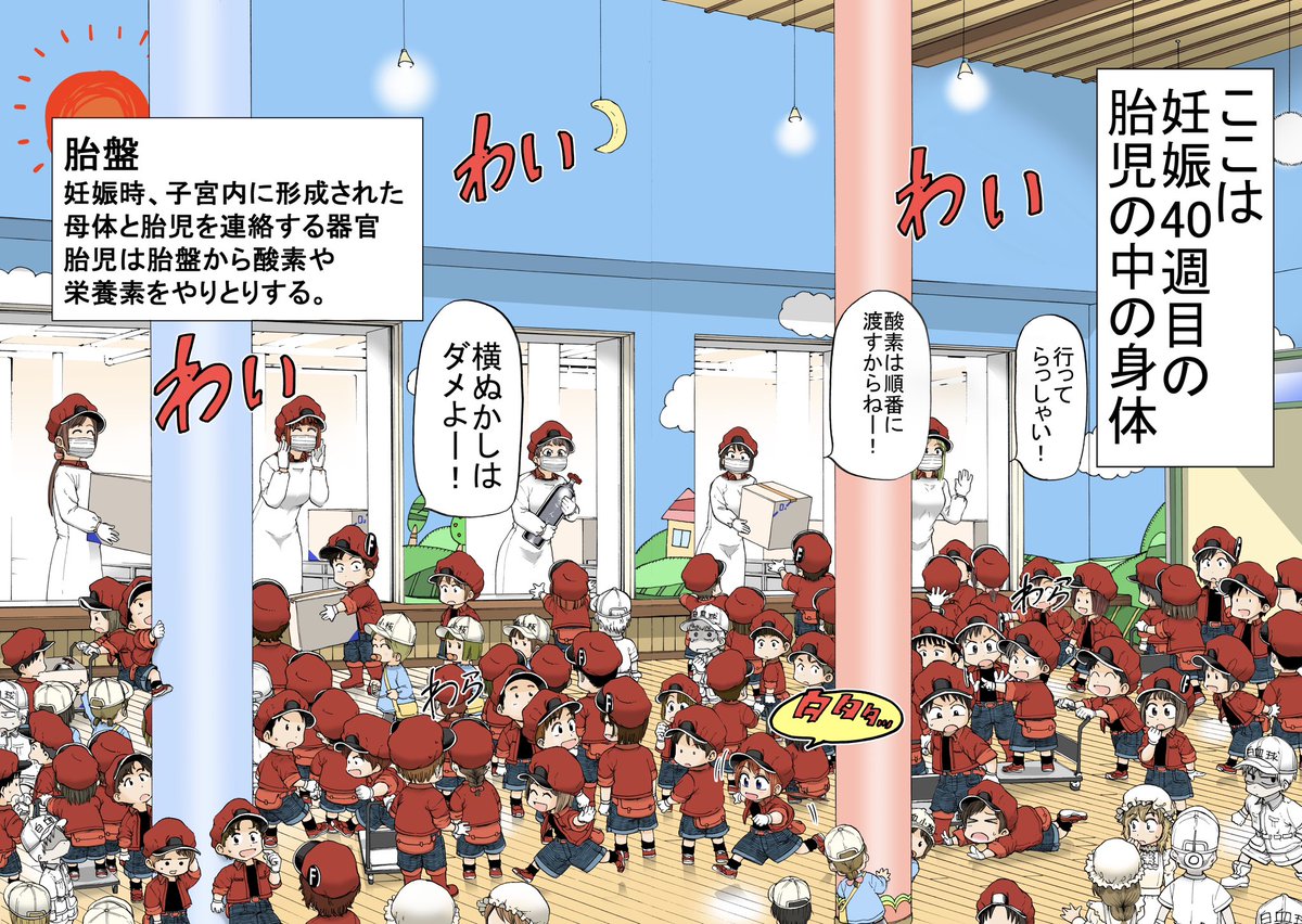 生まれたての赤ちゃんの中で巻き起こる細胞のお話
(1/11)
#漫画が読めるハッシュタグ 