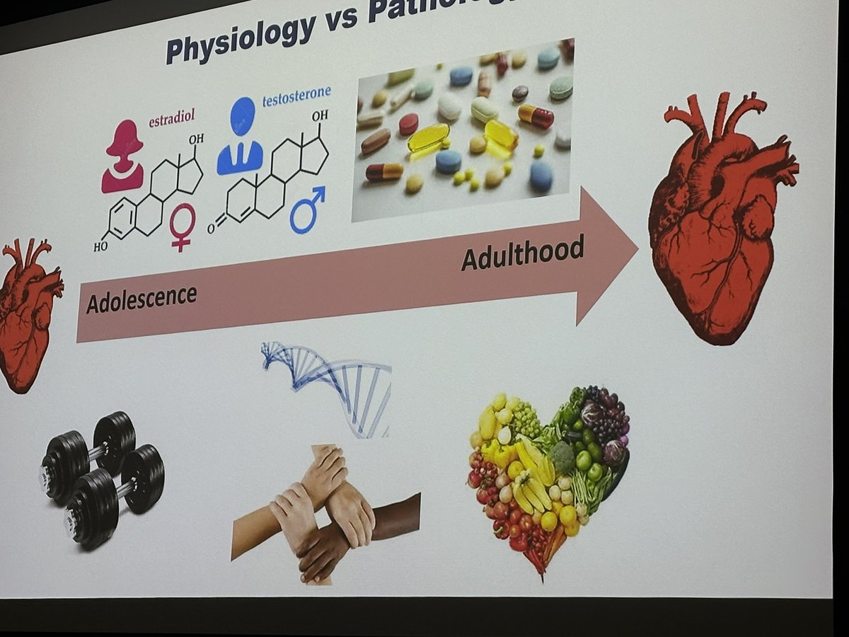 ACPICR (@acpicr) on Twitter photo Starting our day was <a href="/DrAneilMalhotra/">Prof Aneil Malhotra</a> with an excellent talk on an overview of inherited cardiomyopathies ♥️ Starting our day was <a href="/DrAneilMalhotra/">Prof Aneil Malhotra</a> with an excellent talk on an overview of inherited cardiomyopathies ♥️