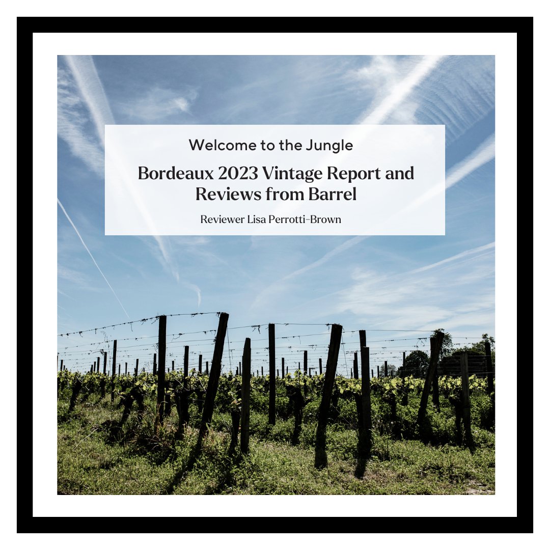 #Bordeaux2023 was a game of winners and losers. Not a “classic” great growing season nor a consistent one, yet some classically styled wines at the pinnacles of greatness have emerged from the 2023 Bordeaux jungle. #classicbordeaux #winereport #enprimeur ➡️bit.ly/4b8rc8j