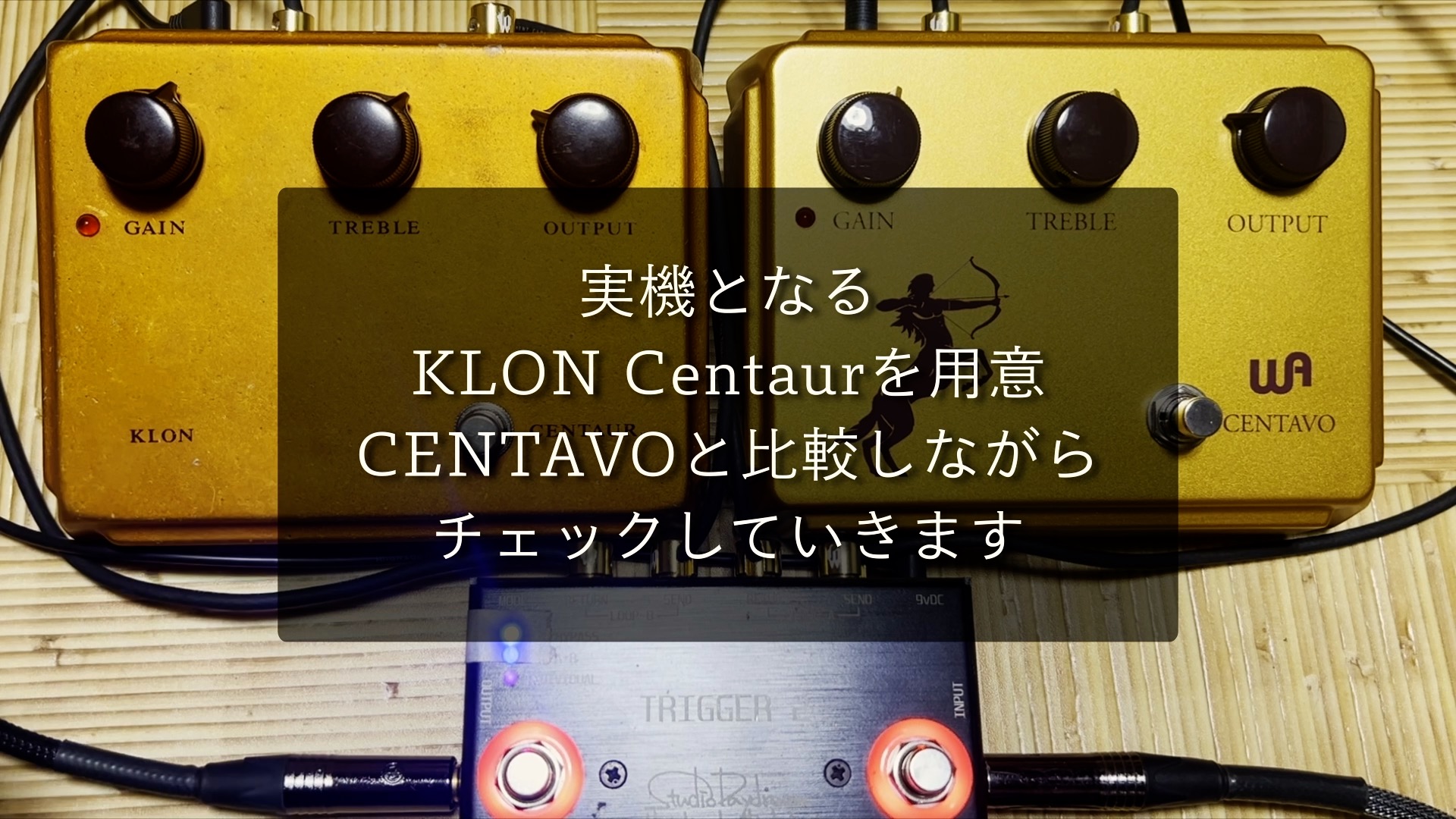 Warm Audio Centavo ギターエフェクター 【公式通販】